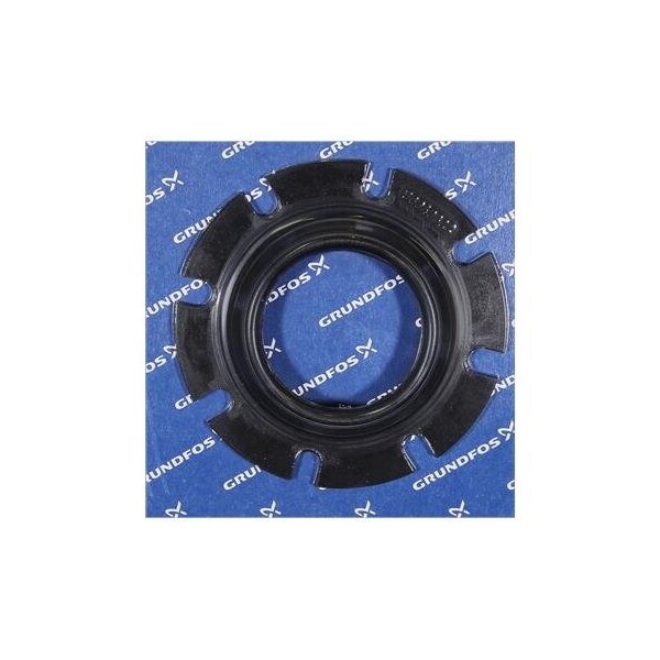 Pump Repair Parts- Spare: Rubber seal (80035216: 96949822).